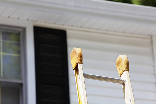 Best Insulated Siding Installation  in Lexington, OK